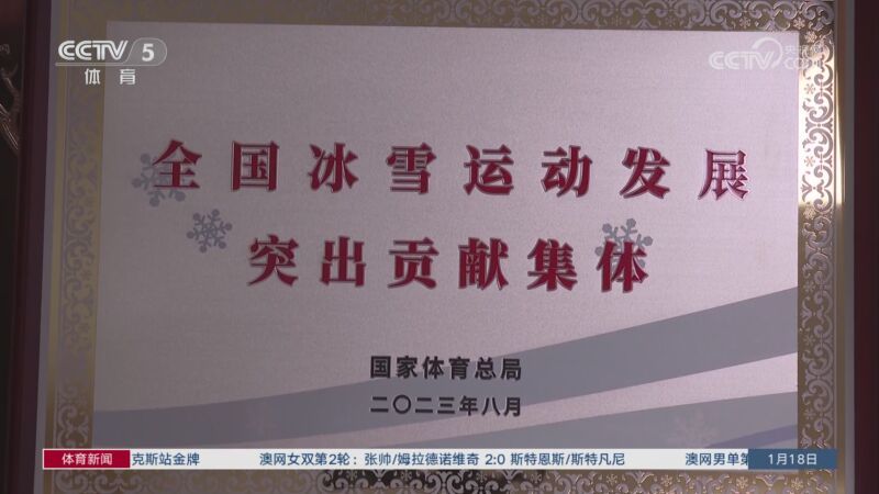 官方未認定